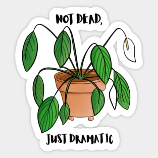 Dramatic Peace Lily Sticker
